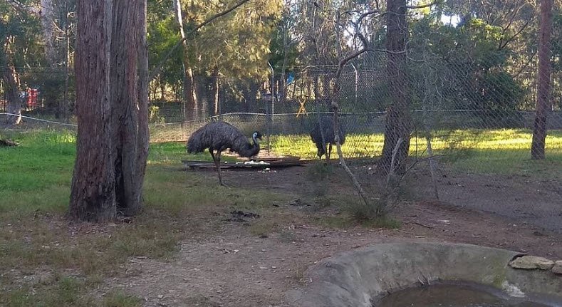 Australian Wildlife Sanctuary, Australia
